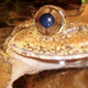 Image for article titled Earth Science Round-Up: Friday, March 11
